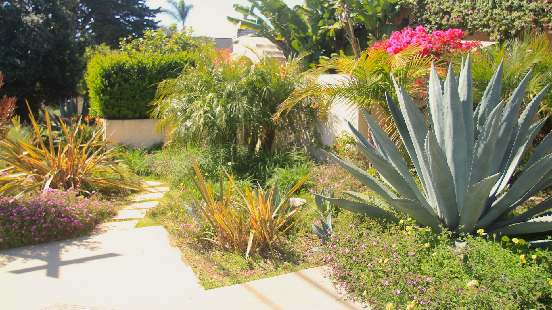 5 Tips for Making Your Yard Low Maintenance