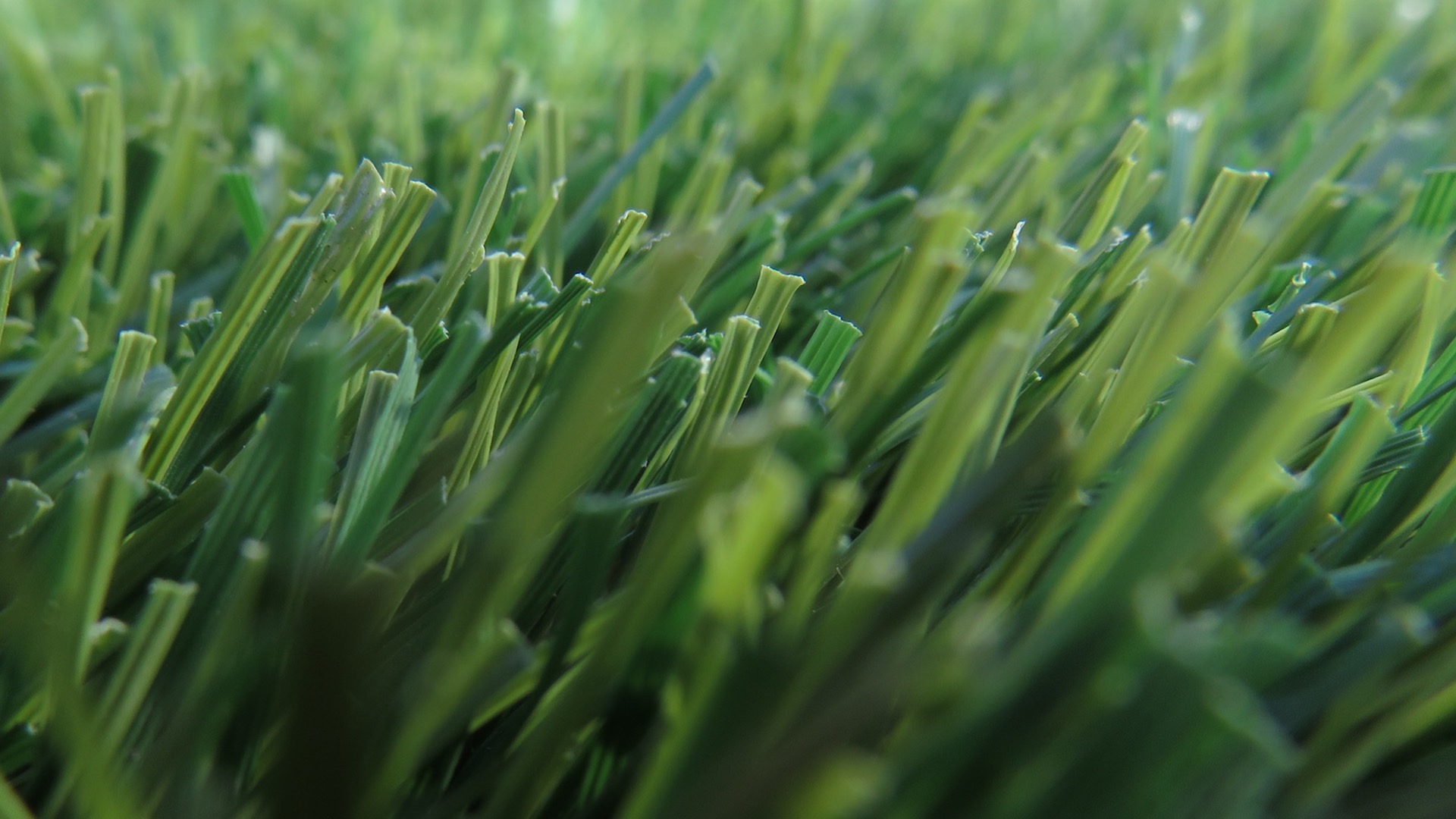 Picking Artificial Grass That’s Right For You